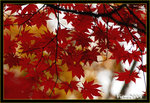 DS2_3824s