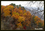 DS2_3855s
