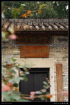 2009-12-25_VLO_德華公園_ (14)