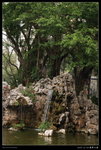 2009-12-25_VLO_德華公園_ (22)