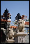 2010-01-01_VLO_長洲_ (27)