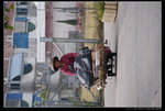 2010 Jan  01 第九屆長洲元旦健跑同樂及越野賽_ (157)