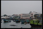 2010 Jan  01 第九屆長洲元旦健跑同樂及越野賽_ (17)