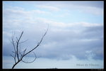 20091108- (3)