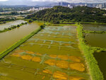 DJI_0865_