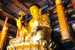 目前世界殿內佛身最高、體積最大的木質釋加牟尼佛坐像。

DSC_0130_01