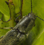 P4300088_