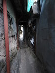 P3060056