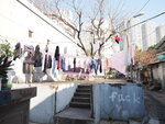 P3060175