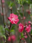 P3020392 (2).jpg_