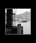 IMG-20250402-WA0021