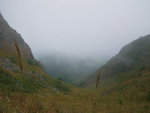 IMGP3009