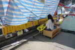 DSC05185