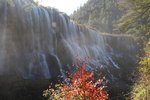 諾日朗瀑布海拔2465米,高25米,瀑頂寛320米,是九寨最寛濶的瀑布,目前中國最寛鈣華瀑布.成為九寨溝地標.