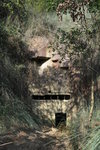 玩完8號洞, 原路回走一段,轉左接山路上走,便到仁興3號礦洞 IMG_1876
