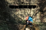 IMG_1879