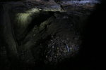 IMG_1911