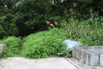 轉右
IMG_4321