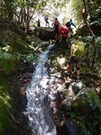 DSCN3594