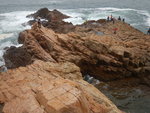 DSCN5962