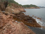 DSCN6175