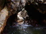 DSCN6193