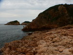 DSCN6242