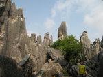 IMG_0644_624