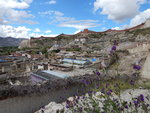 DSCN0424