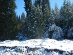 DSCN4202