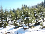 DSCN4210