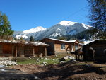 DSCN4233