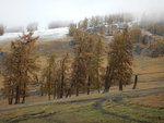 左側的山坡上,金黃色的樹木以及黑褐色的土地被積雪點綴着.
DSCN3449