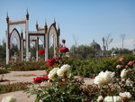 DSCN2366