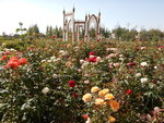 DSCN2369