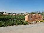 DSCN2371