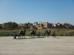 DSCN2401