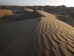 沙漠中的巨大沙丘一般高數百米,各種蜂窩狀,羽毛狀,魚鱗狀沙丘隨處可見.
DSCN5231