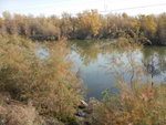 塔里木河全長2179米由阿克蘇河尔羌河和田河滙流而成,是我國第一大內流河,世界第五大內流河.
DSCN5297