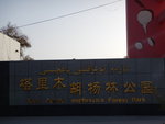 輪台胡楊林被評為'中國最美十大森林之一'它位於塔克拉瑪干沙漠腹地,輪台县南40多公里,這里胡楊密集.
DSCN5316
