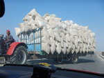 這里盛產綿花,有人在車站問我們採摘綿花,人工$300一天. DSCN5396