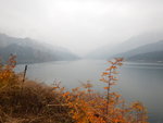 DSCN5577