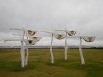 DSCN8870