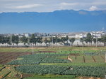 DSCN8605