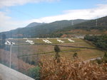 DSCN8611