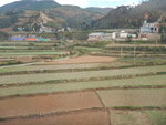 DSCN8616