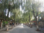 DSCN7078