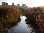 DSCN7104