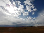 DSCN4541