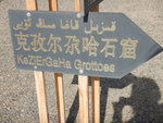 DSCN4631